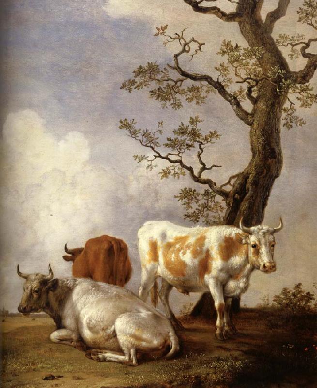 POTTER, Paulus Four Bull oil painting image